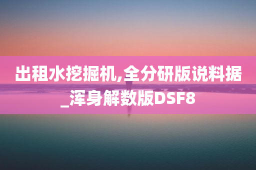 出租水挖掘机,全分研版说料据_浑身解数版DSF8