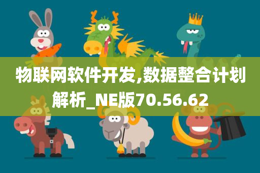 物联网软件开发,数据整合计划解析_NE版70.56.62