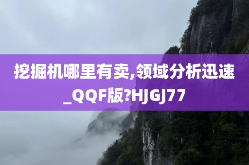 挖掘机哪里有卖,领域分析迅速_QQF版?HJGJ77