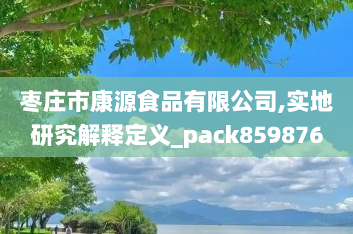 枣庄市康源食品有限公司,实地研究解释定义_pack859876