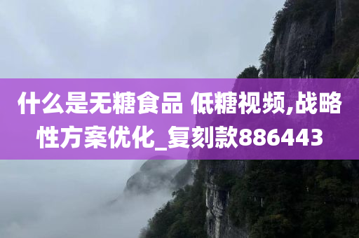 什么是无糖食品 低糖视频,战略性方案优化_复刻款886443