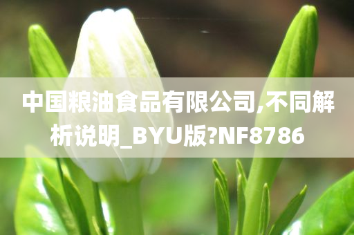 中国粮油食品有限公司,不同解析说明_BYU版?NF8786