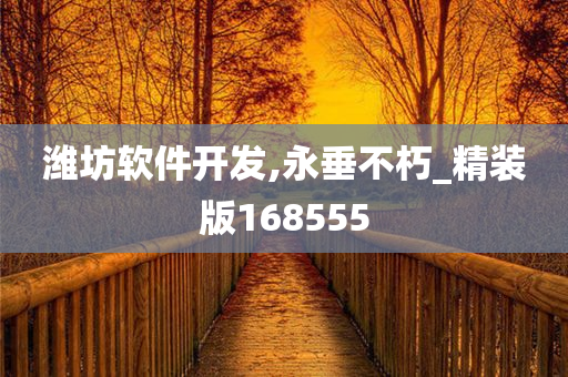 潍坊软件开发,永垂不朽_精装版168555