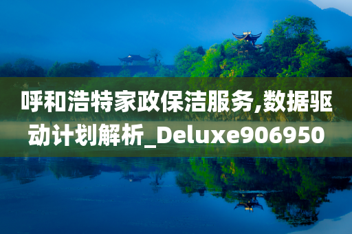 呼和浩特家政保洁服务,数据驱动计划解析_Deluxe906950