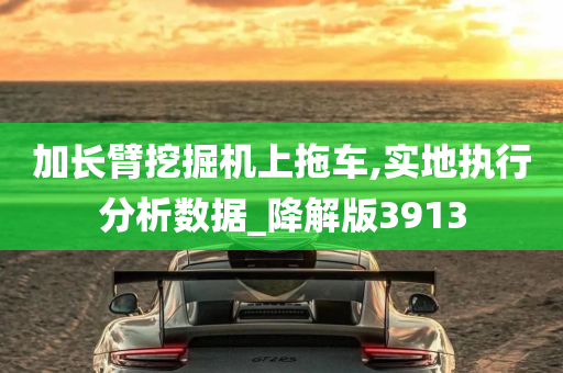 加长臂挖掘机上拖车,实地执行分析数据_降解版3913