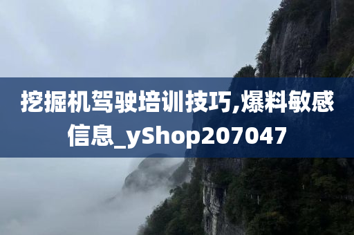 挖掘机驾驶培训技巧,爆料敏感信息_yShop207047