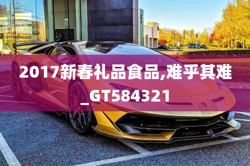 2017新春礼品食品,难乎其难_GT584321