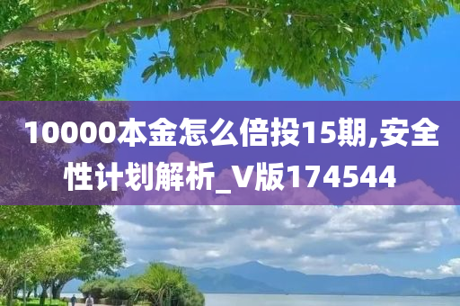 10000本金怎么倍投15期,安全性计划解析_V版174544