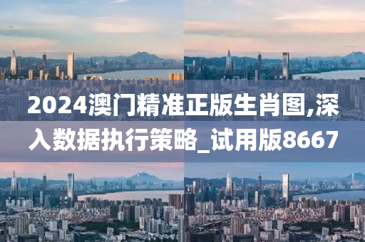 2024澳门精准正版生肖图,深入数据执行策略_试用版8667