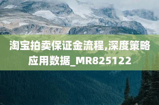 淘宝拍卖保证金流程,深度策略应用数据_MR825122