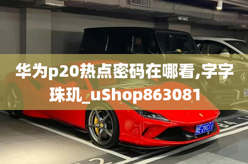 华为p20热点密码在哪看,字字珠玑_uShop863081