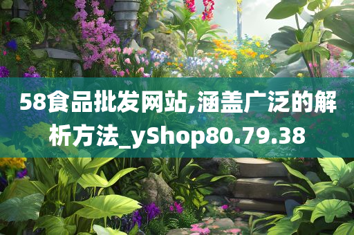 58食品批发网站,涵盖广泛的解析方法_yShop80.79.38