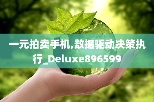 一元拍卖手机,数据驱动决策执行_Deluxe896599