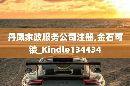 丹凤家政服务公司注册,金石可镂_Kindle134434