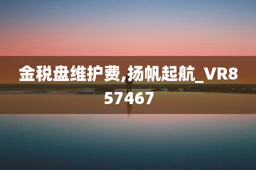 金税盘维护费,扬帆起航_VR857467