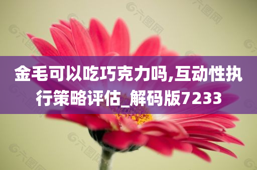 金毛可以吃巧克力吗,互动性执行策略评估_解码版7233