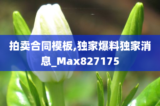 拍卖合同模板,独家爆料独家消息_Max827175