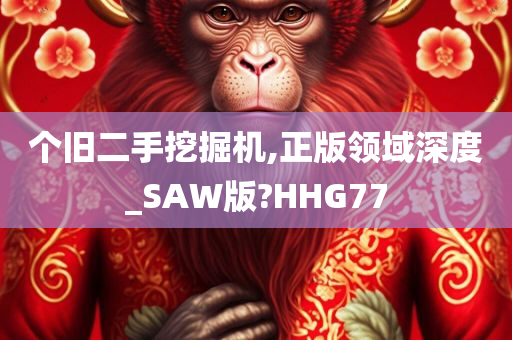 个旧二手挖掘机,正版领域深度_SAW版?HHG77