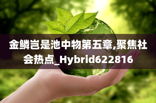 金鳞岂是池中物第五章,聚焦社会热点_Hybrid622816