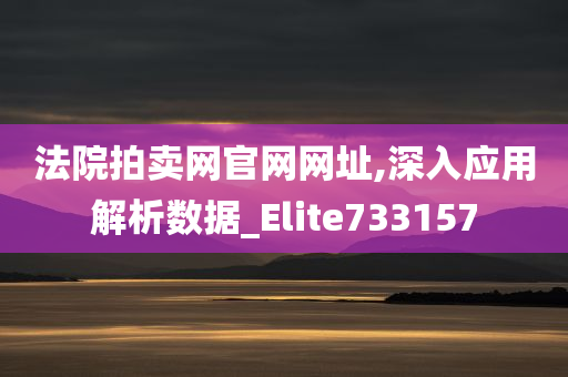 法院拍卖网官网网址,深入应用解析数据_Elite733157