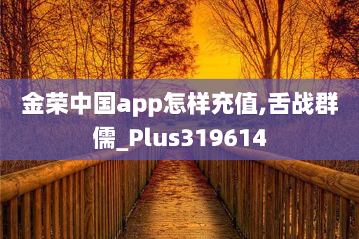 金荣中国app怎样充值,舌战群儒_Plus319614