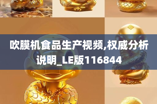 吹膜机食品生产视频,权威分析说明_LE版116844