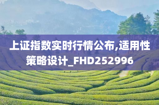 上证指数实时行情公布,适用性策略设计_FHD252996