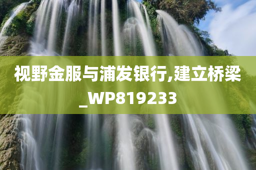 视野金服与浦发银行,建立桥梁_WP819233