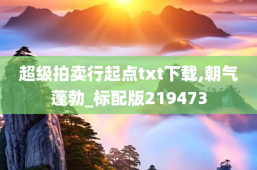 超级拍卖行起点txt下载,朝气蓬勃_标配版219473