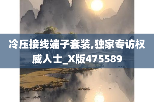 冷压接线端子套装,独家专访权威人士_X版475589