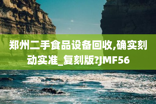 郑州二手食品设备回收,确实刻动实准_复刻版?JMF56