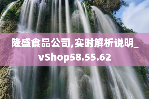 隆盛食品公司,实时解析说明_vShop58.55.62