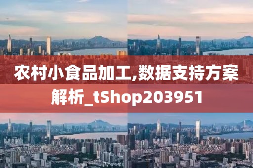 农村小食品加工,数据支持方案解析_tShop203951