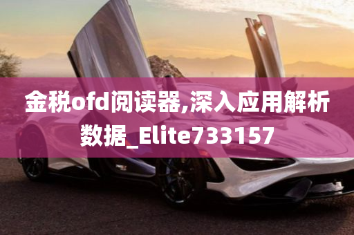 金税ofd阅读器,深入应用解析数据_Elite733157