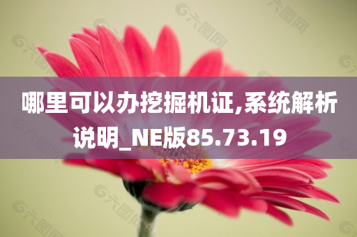 哪里可以办挖掘机证,系统解析说明_NE版85.73.19