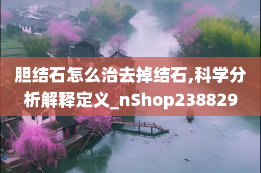 胆结石怎么治去掉结石,科学分析解释定义_nShop238829