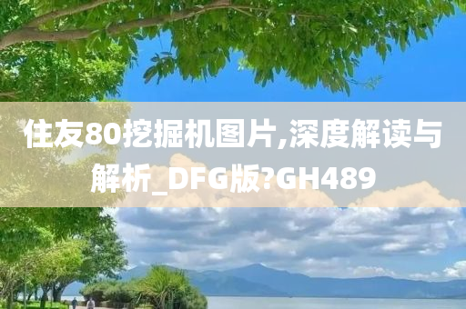 住友80挖掘机图片,深度解读与解析_DFG版?GH489