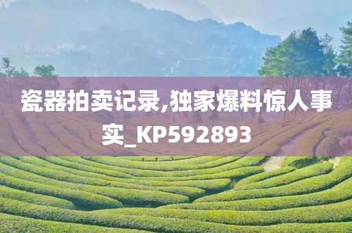 瓷器拍卖记录,独家爆料惊人事实_KP592893