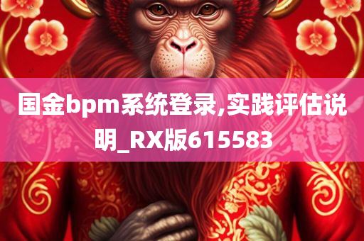 国金bpm系统登录,实践评估说明_RX版615583