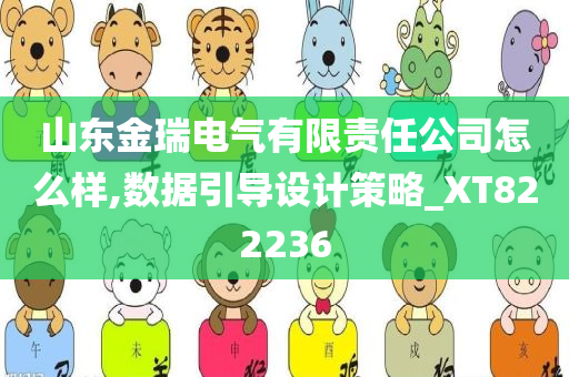 山东金瑞电气有限责任公司怎么样,数据引导设计策略_XT822236