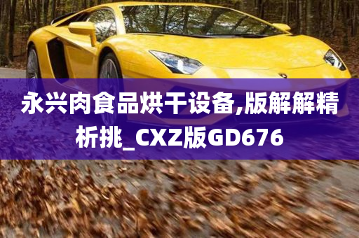 永兴肉食品烘干设备,版解解精析挑_CXZ版GD676