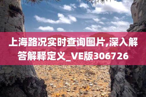 上海路况实时查询图片,深入解答解释定义_VE版306726