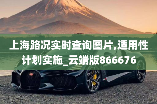 上海路况实时查询图片,适用性计划实施_云端版866676