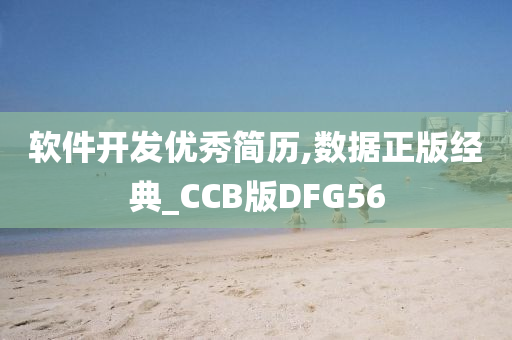 软件开发优秀简历,数据正版经典_CCB版DFG56