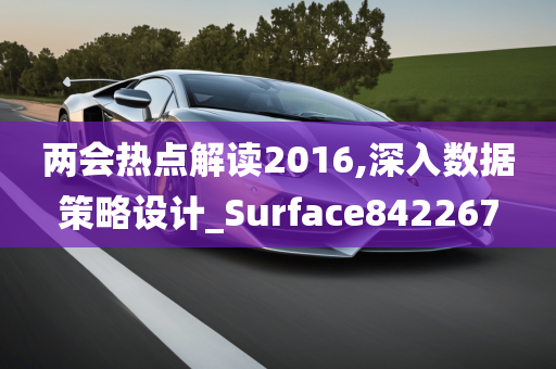 两会热点解读2016,深入数据策略设计_Surface842267