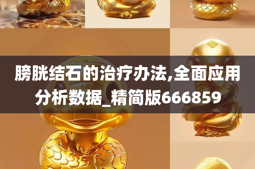 膀胱结石的治疗办法,全面应用分析数据_精简版666859