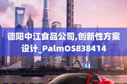 德阳中江食品公司,创新性方案设计_PalmOS838414