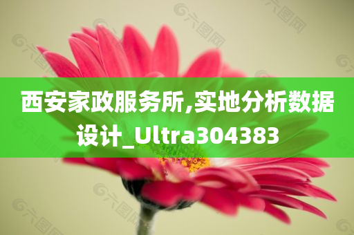 西安家政服务所,实地分析数据设计_Ultra304383