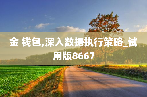 金 钱包,深入数据执行策略_试用版8667