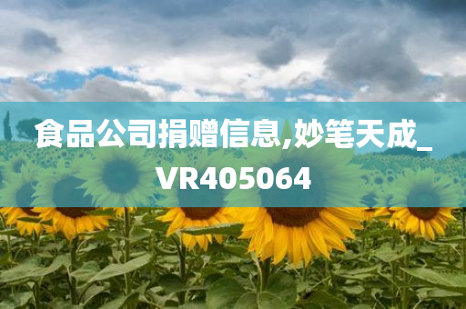 食品公司捐赠信息,妙笔天成_VR405064